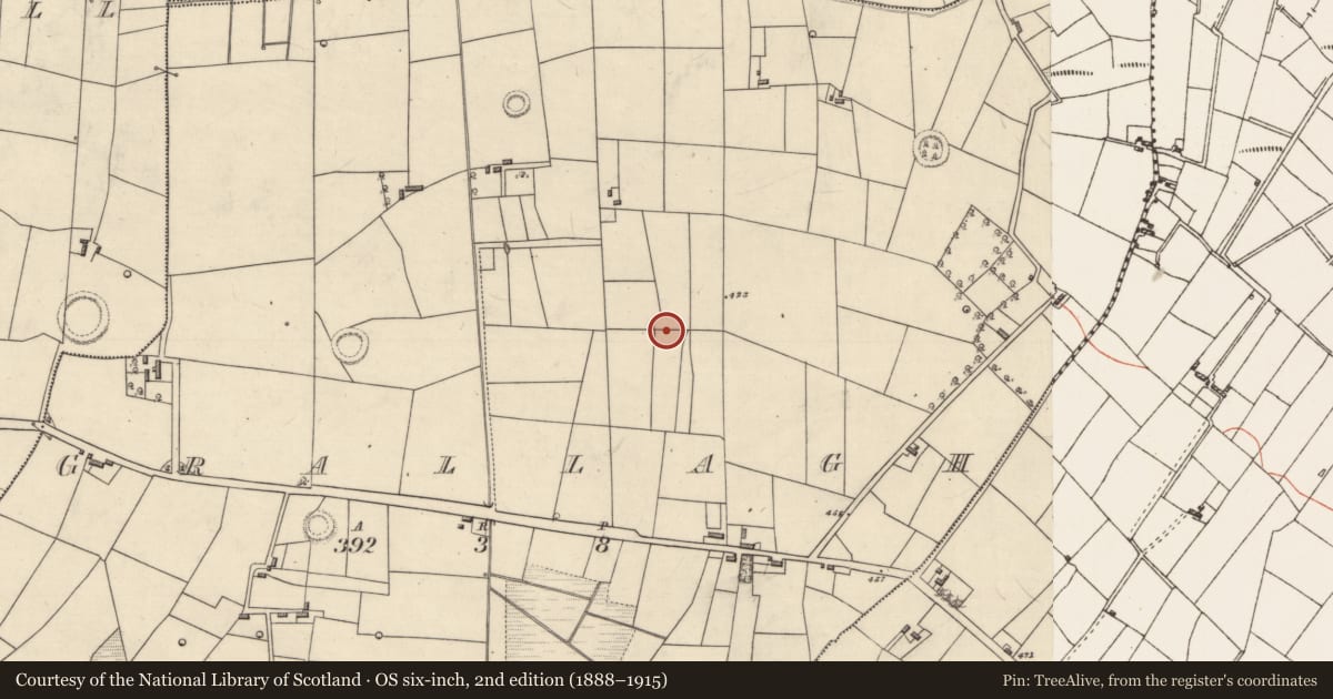 Ordnance Survey six-inch map, 2nd edition (1888–1915) covering the location of Ringfort - rath, Grallagh, County Roscommon, with a pin at the register's coordinates
