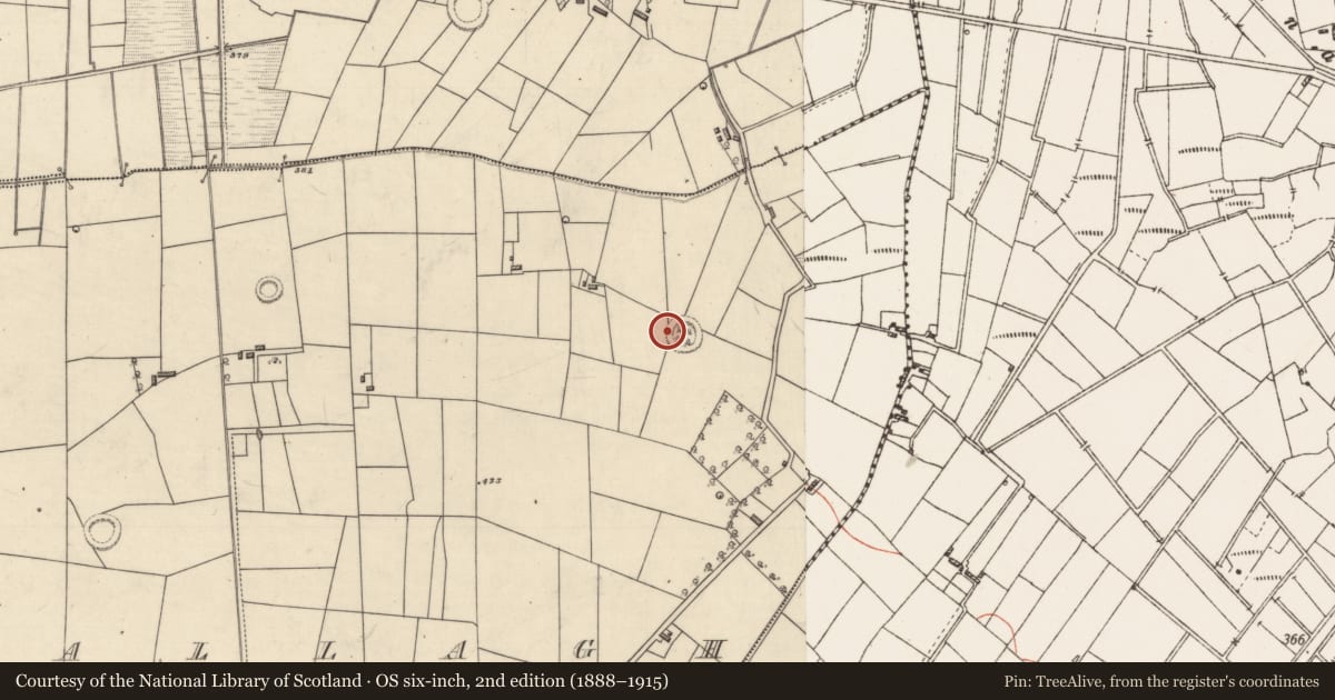 Ordnance Survey six-inch map, 2nd edition (1888–1915) covering the location of Ringfort - rath, Grallagh, County Roscommon, with a pin at the register's coordinates