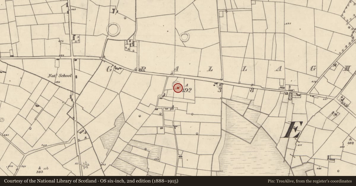 Ordnance Survey six-inch map, 2nd edition (1888–1915) covering the location of Ringfort - rath, Grallagh, County Roscommon, with a pin at the register's coordinates