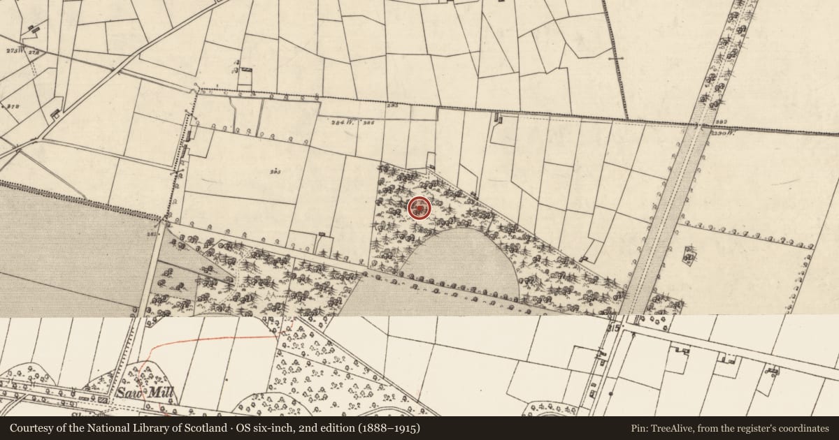 Ordnance Survey six-inch map, 2nd edition (1888–1915) covering the location of Ringfort - rath, Loughglinn Demesne, County Roscommon, with a pin at the register's coordinates