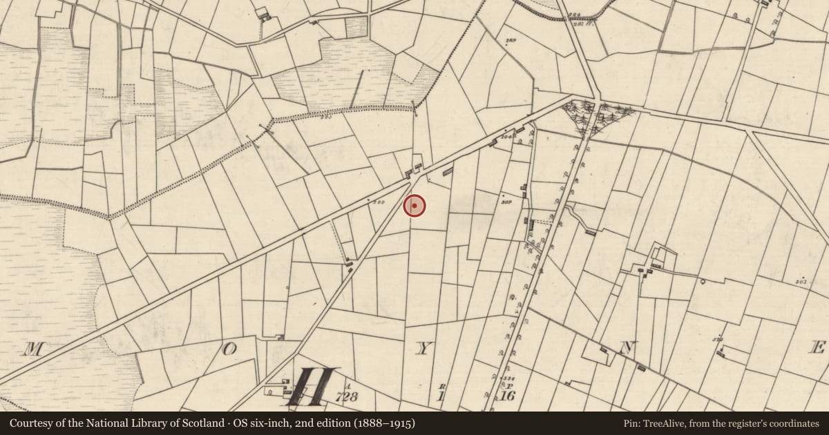 Ordnance Survey six-inch map, 2nd edition (1888–1915) covering the location of Hut site, Moyne, County Roscommon, with a pin at the register's coordinates