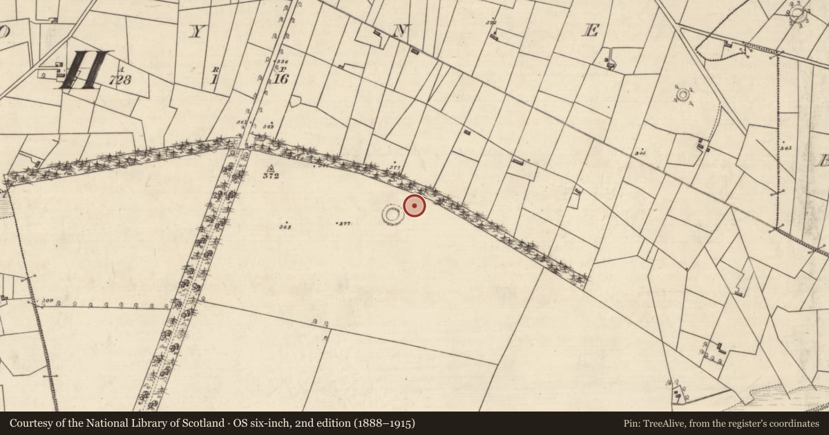 Ordnance Survey six-inch map, 2nd edition (1888–1915) covering the location of Ringfort - rath, Moyne, County Roscommon, with a pin at the register's coordinates