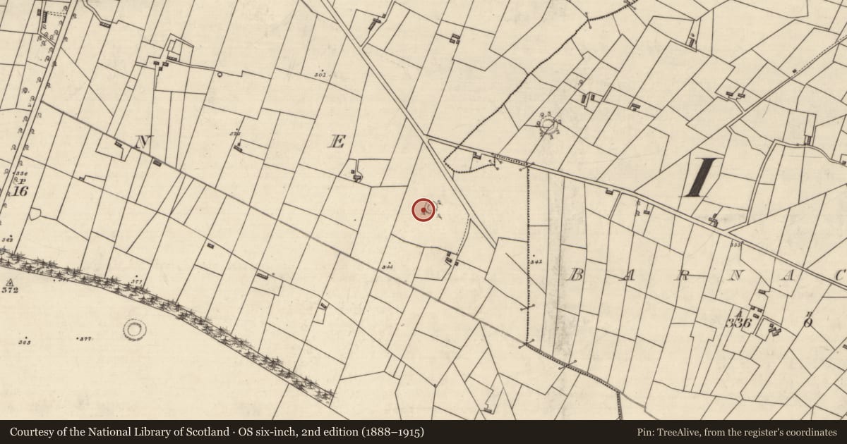 Ordnance Survey six-inch map, 2nd edition (1888–1915) covering the location of Ringfort - rath, Moyne, County Roscommon, with a pin at the register's coordinates