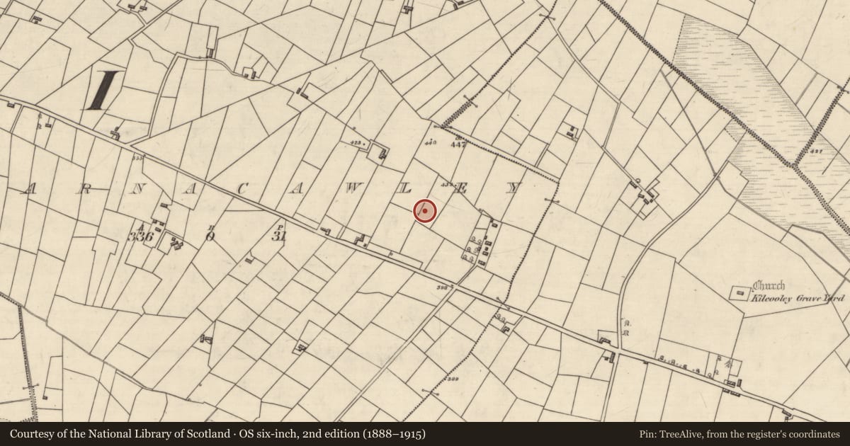 Ordnance Survey six-inch map, 2nd edition (1888–1915) covering the location of Ringfort - rath, Barnacawley, County Roscommon, with a pin at the register's coordinates