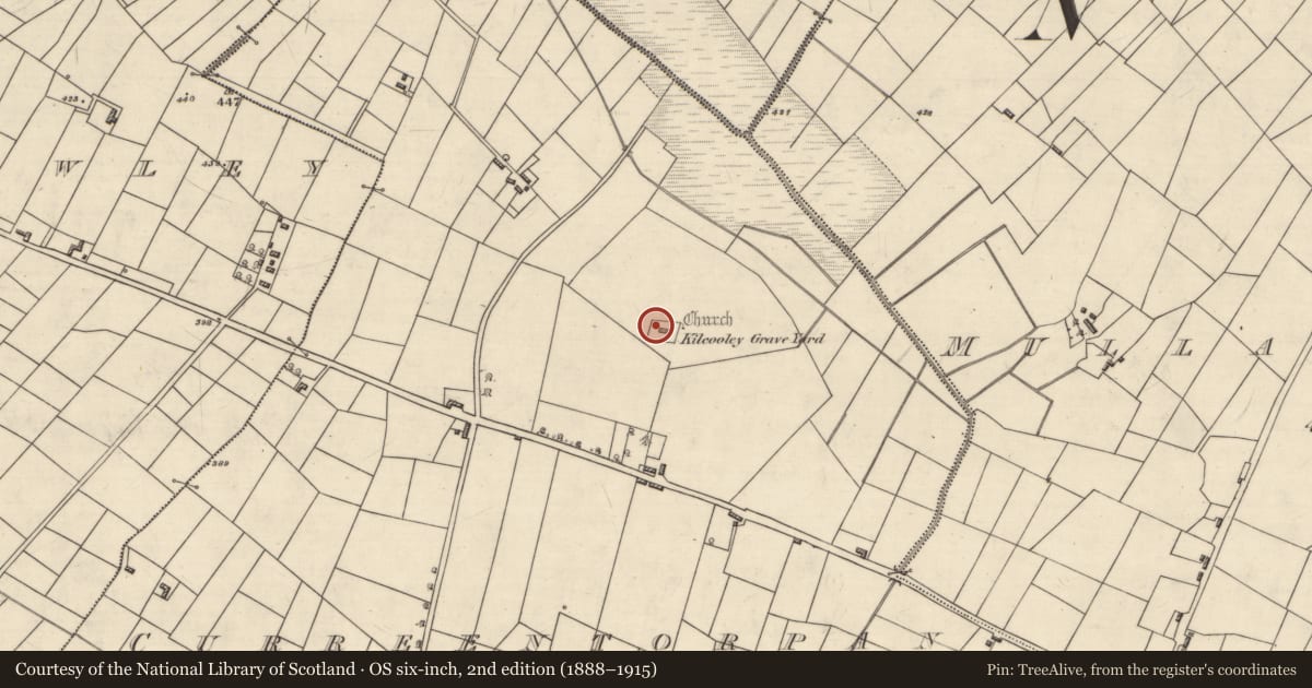 Ordnance Survey six-inch map, 2nd edition (1888–1915) covering the location of Church, Curreentorpan, County Roscommon, with a pin at the register's coordinates