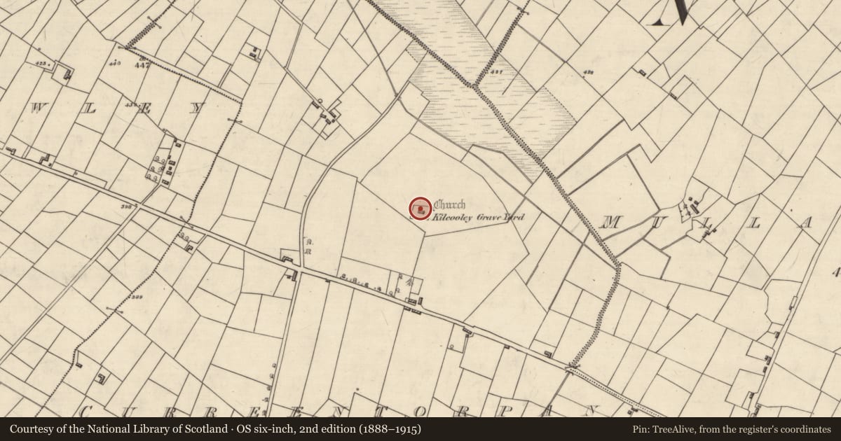 Ordnance Survey six-inch map, 2nd edition (1888–1915) covering the location of Children's burial ground, Curreentorpan, County Roscommon, with a pin at the register's coordinates
