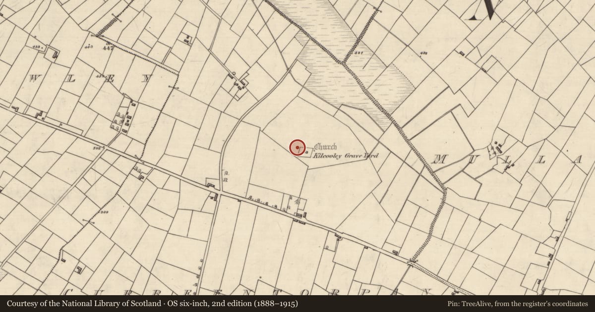 Ordnance Survey six-inch map, 2nd edition (1888–1915) covering the location of Ecclesiastical enclosure, Curreentorpan, County Roscommon, with a pin at the register's coordinates