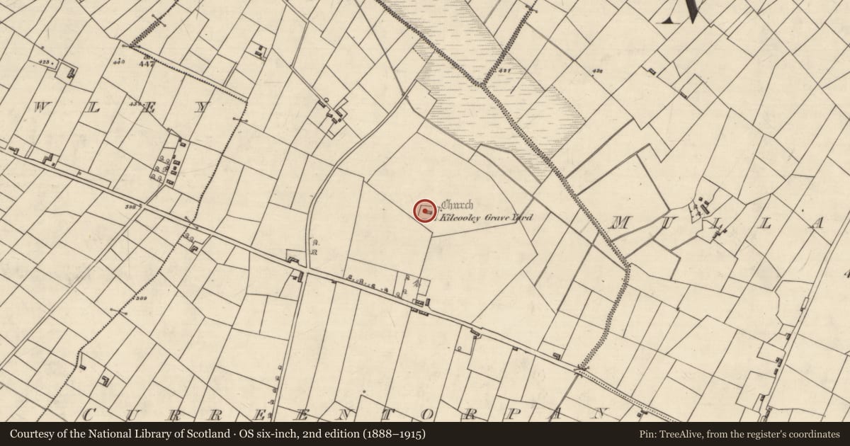 Ordnance Survey six-inch map, 2nd edition (1888–1915) covering the location of Bullaun stone, Curreentorpan, County Roscommon, with a pin at the register's coordinates