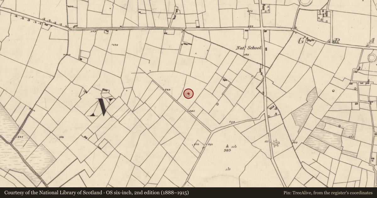 Ordnance Survey six-inch map, 2nd edition (1888–1915) covering the location of Cairn - unclassified, Mullaghnashee, County Roscommon, with a pin at the register's coordinates