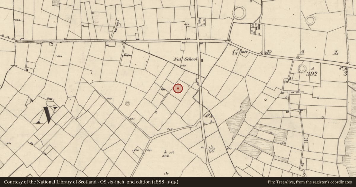 Ordnance Survey six-inch map, 2nd edition (1888–1915) covering the location of Hut site, Mullaghnashee, County Roscommon, with a pin at the register's coordinates