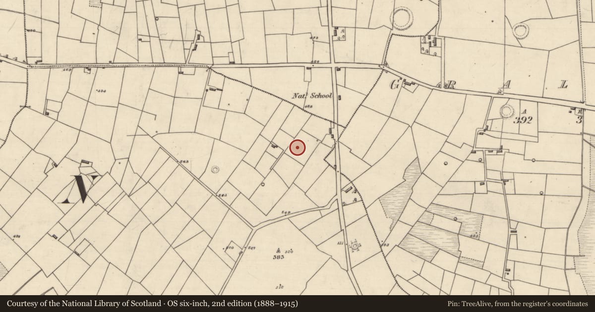 Ordnance Survey six-inch map, 2nd edition (1888–1915) covering the location of Hut site, Mullaghnashee, County Roscommon, with a pin at the register's coordinates