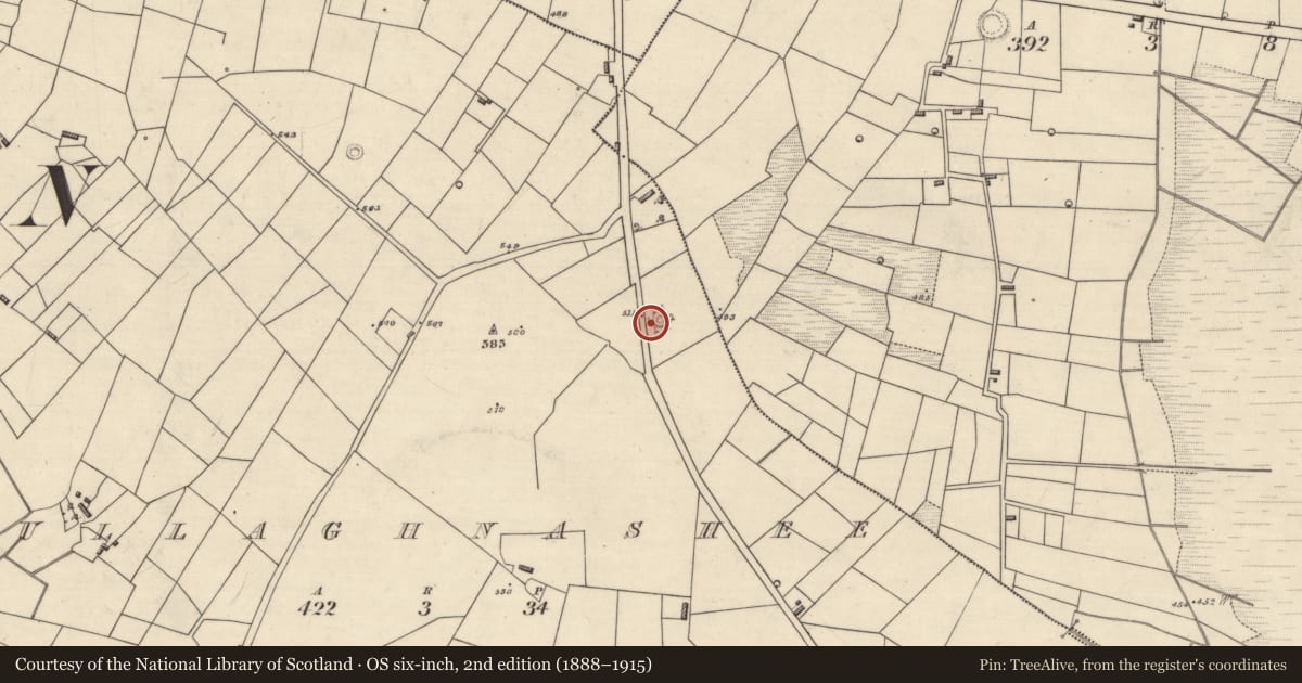 Ordnance Survey six-inch map, 2nd edition (1888–1915) covering the location of Hut site, Mullaghnashee, County Roscommon, with a pin at the register's coordinates
