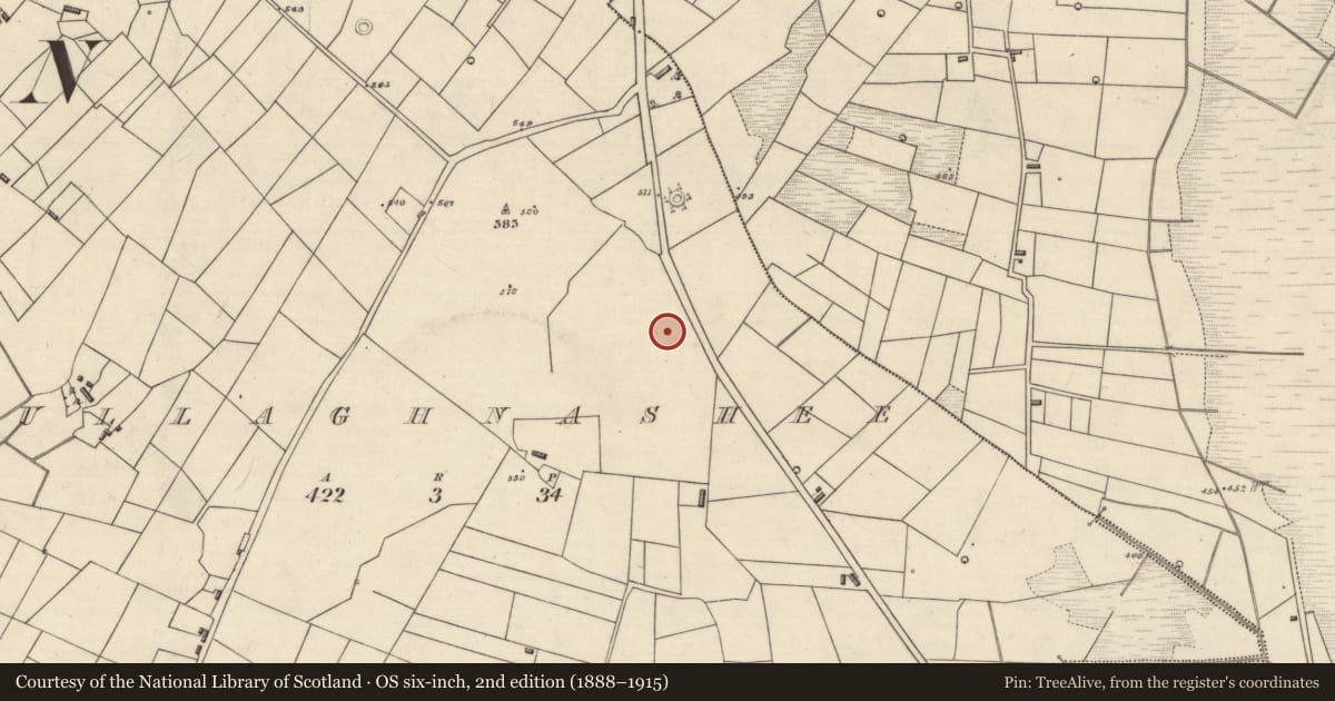 Ordnance Survey six-inch map, 2nd edition (1888–1915) covering the location of Burial ground, Mullaghnashee, County Roscommon, with a pin at the register's coordinates