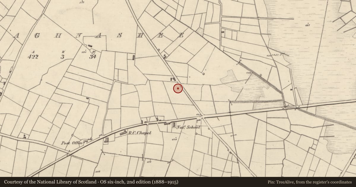 Ordnance Survey six-inch map, 2nd edition (1888–1915) covering the location of Ringfort - rath, Mullaghnashee, County Roscommon, with a pin at the register's coordinates
