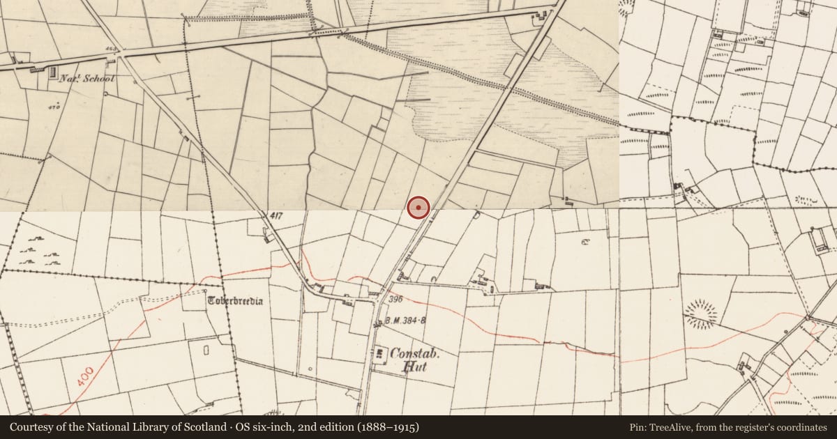 Ordnance Survey six-inch map, 2nd edition (1888–1915) covering the location of Fulacht fia, Cloonfinglas, County Roscommon, with a pin at the register's coordinates