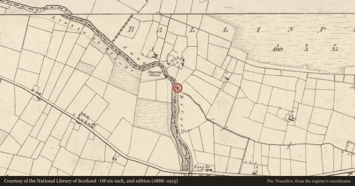 Ordnance Survey six-inch map, 2nd edition (1888–1915) covering the location of Mound, Ballinphuill, County Roscommon, with a pin at the register's coordinates