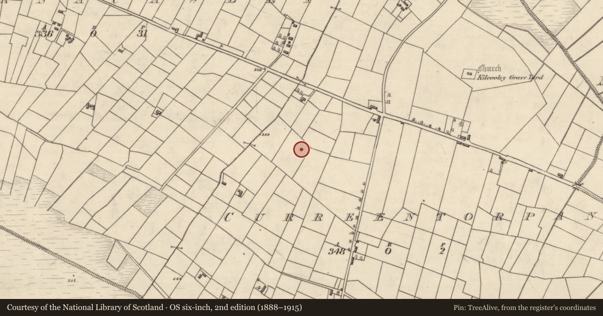 Ordnance Survey six-inch map, 2nd edition (1888–1915) covering the location of Ringfort - rath, Curreentorpan, County Roscommon, with a pin at the register's coordinates