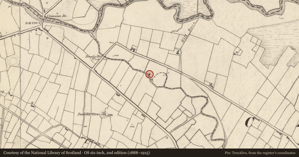 Ordnance Survey six-inch map, 2nd edition (1888–1915) covering the location of Burial, Roosky, County Roscommon, with a pin at the register's coordinates