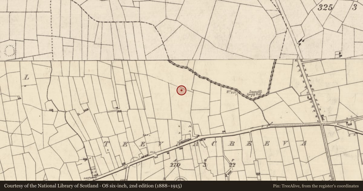 Ordnance Survey six-inch map, 2nd edition (1888–1915) covering the location of Excavation - miscellaneous, Teevnacreeva, County Roscommon, with a pin at the register's coordinates