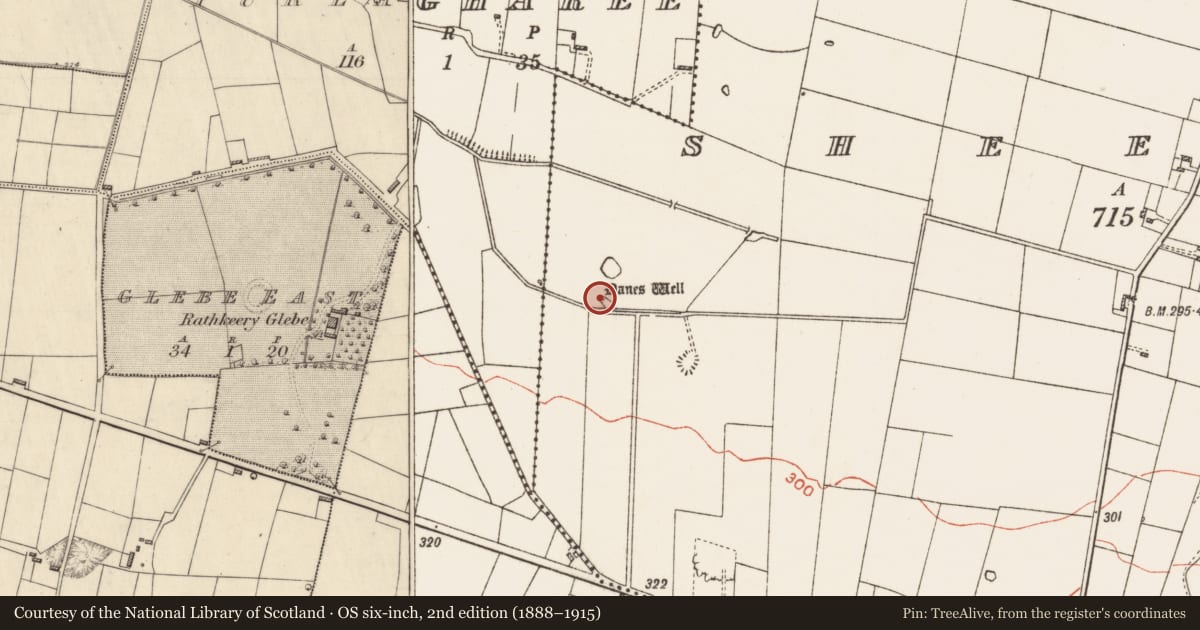 Ordnance Survey six-inch map, 2nd edition (1888–1915) covering the location of Well, Sheepwalk, County Roscommon, with a pin at the register's coordinates