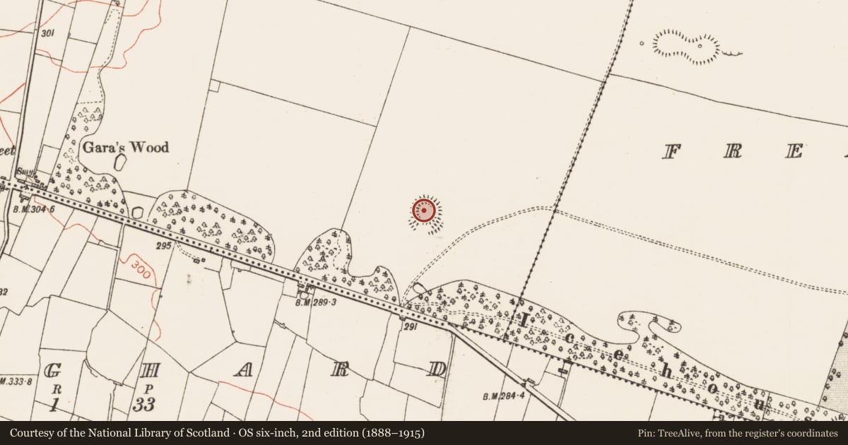 Ordnance Survey six-inch map, 2nd edition (1888–1915) covering the location of Ringfort - rath, Sheepwalk, County Roscommon, with a pin at the register's coordinates