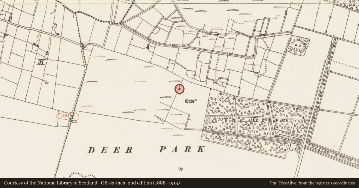 Ordnance Survey six-inch map, 2nd edition (1888–1915) covering the location of Ringfort - rath, Frenchpark Demesne, County Roscommon, with a pin at the register's coordinates