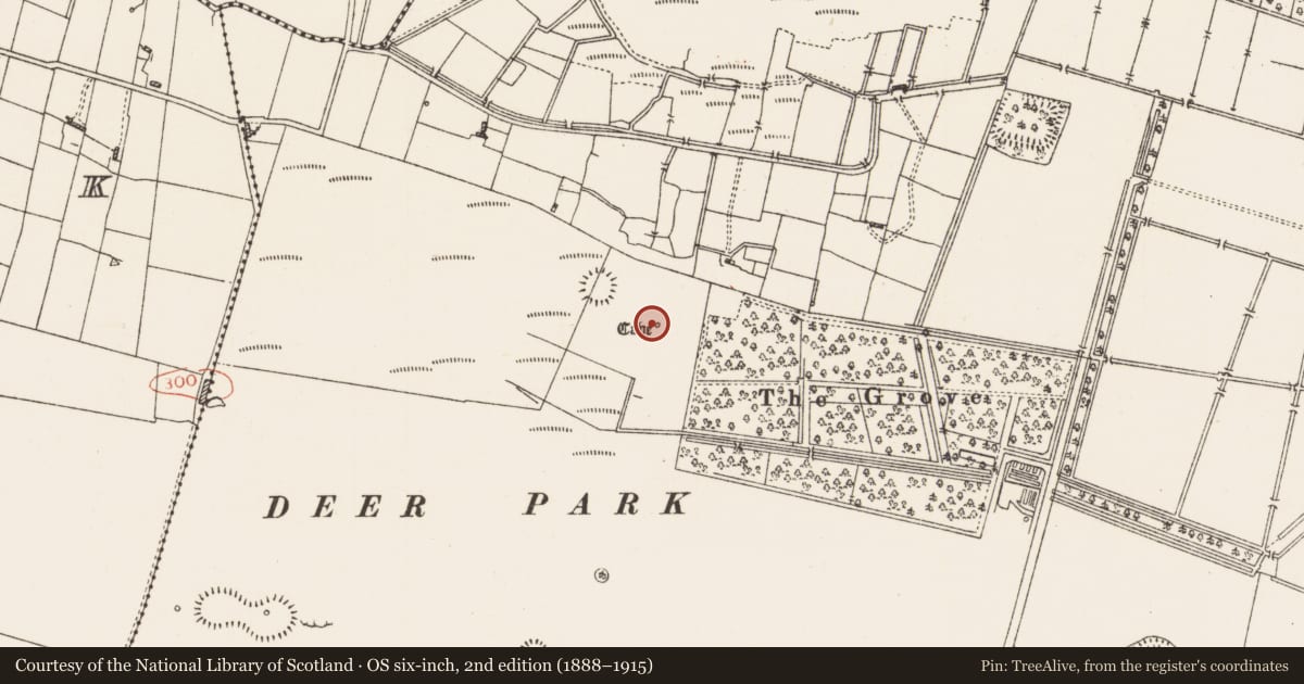 Ordnance Survey six-inch map, 2nd edition (1888–1915) covering the location of Souterrain, Frenchpark Demesne, County Roscommon, with a pin at the register's coordinates