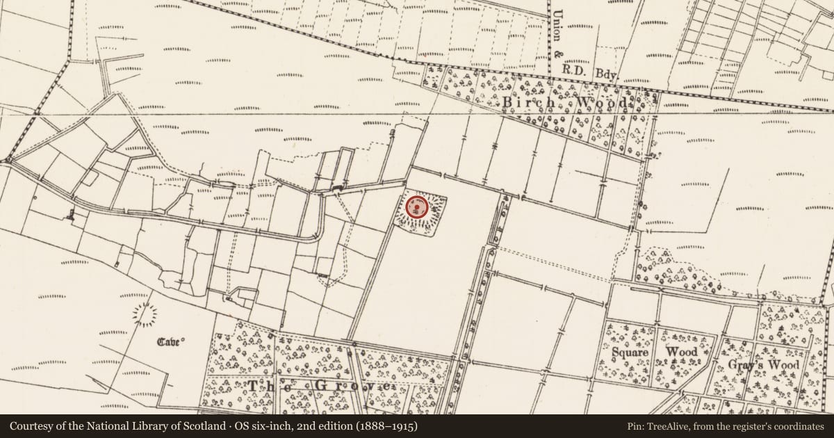 Ordnance Survey six-inch map, 2nd edition (1888–1915) covering the location of Moated site, Frenchpark Demesne, County Roscommon, with a pin at the register's coordinates
