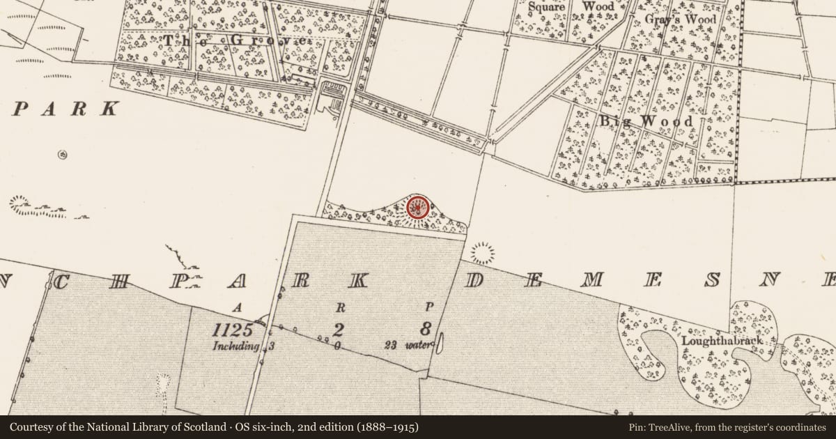 Ordnance Survey six-inch map, 2nd edition (1888–1915) covering the location of Ringfort - rath, Frenchpark Demesne, County Roscommon, with a pin at the register's coordinates