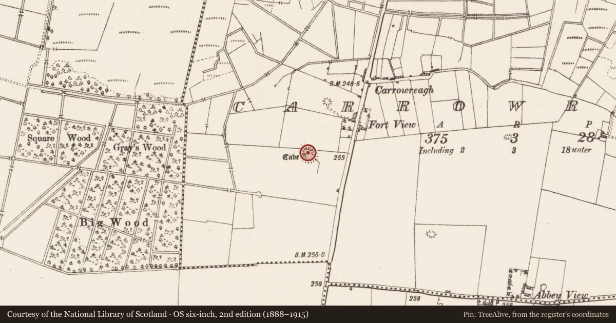 Ordnance Survey six-inch map, 2nd edition (1888–1915) covering the location of Ringfort - rath, Carrowreagh, County Roscommon, with a pin at the register's coordinates