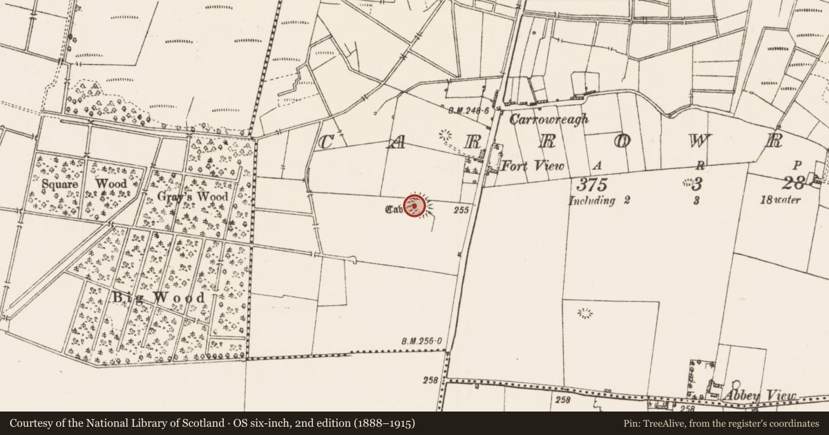 Ordnance Survey six-inch map, 2nd edition (1888–1915) covering the location of Souterrain, Carrowreagh, County Roscommon, with a pin at the register's coordinates