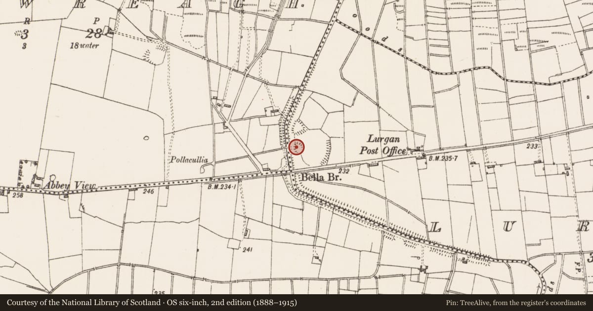 Ordnance Survey six-inch map, 2nd edition (1888–1915) covering the location of Earthwork, Lurgan, County Roscommon, with a pin at the register's coordinates