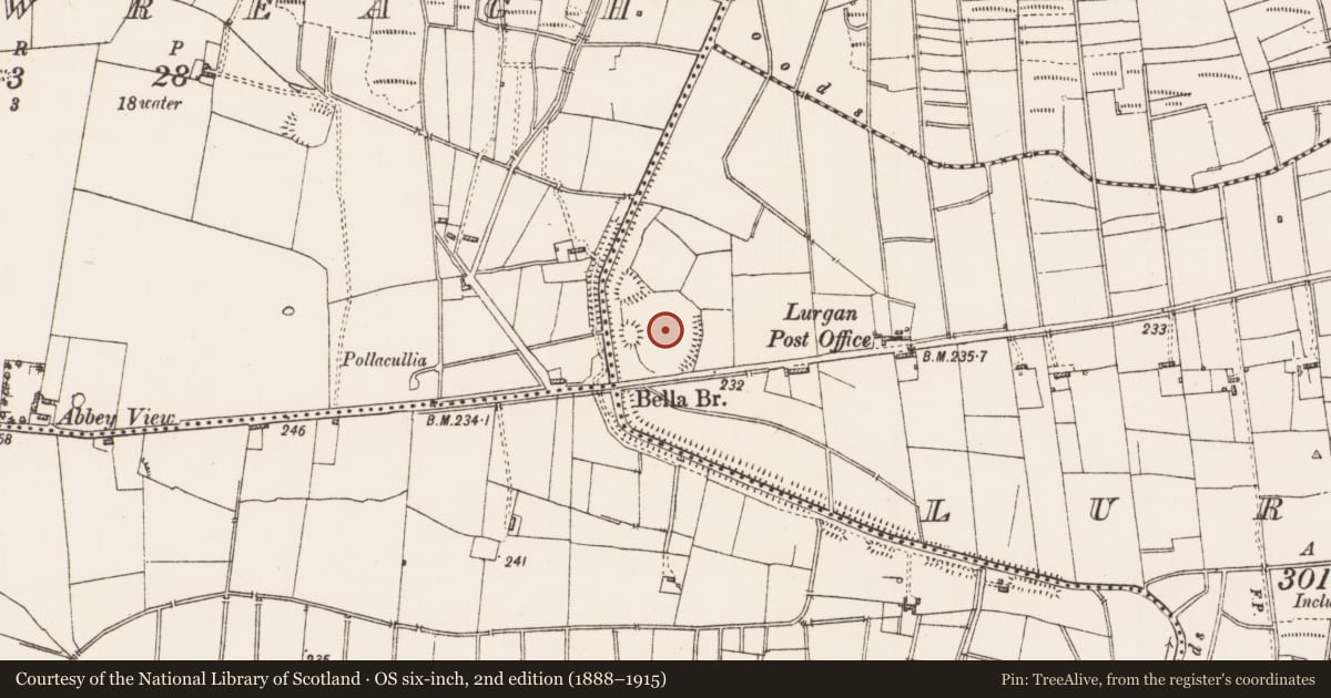 Ordnance Survey six-inch map, 2nd edition (1888–1915) covering the location of Earthwork, Lurgan, County Roscommon, with a pin at the register's coordinates