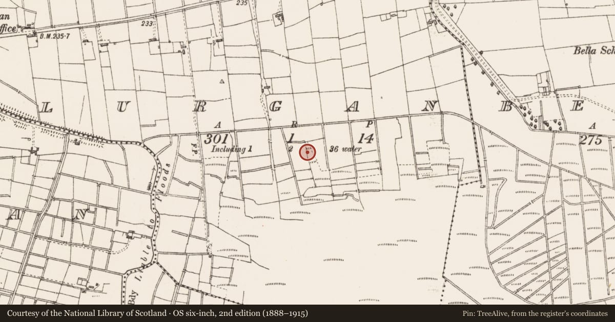 Ordnance Survey six-inch map, 2nd edition (1888–1915) covering the location of Earthwork, Lurgan, County Roscommon, with a pin at the register's coordinates