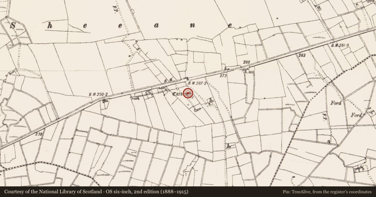 Ordnance Survey six-inch map, 2nd edition (1888–1915) covering the location of Barrow - unclassified, Knockglass, County Roscommon, with a pin at the register's coordinates