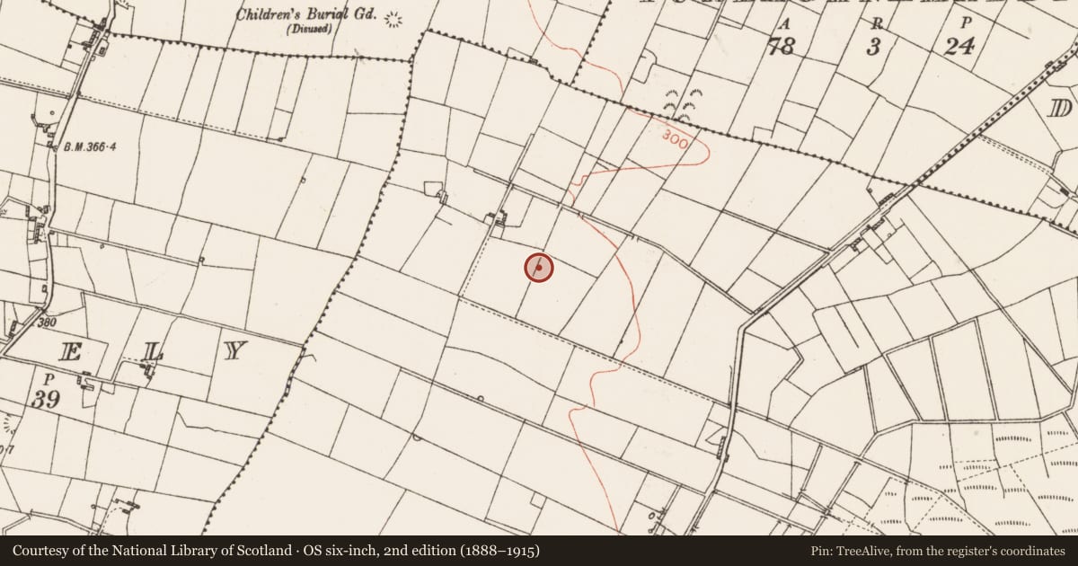 Ordnance Survey six-inch map, 2nd edition (1888–1915) covering the location of Ringfort - rath, Mullen, County Roscommon, with a pin at the register's coordinates