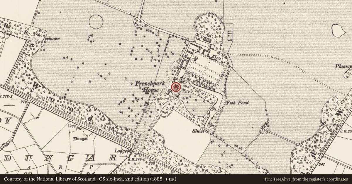 Ordnance Survey six-inch map, 2nd edition (1888–1915) covering the location of Castle - unclassified, Frenchpark Demesne, County Roscommon, with a pin at the register's coordinates