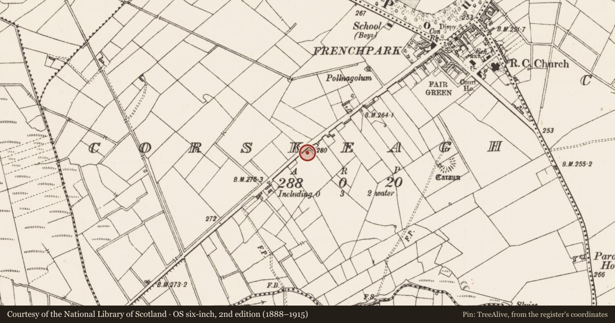 Ordnance Survey six-inch map, 2nd edition (1888–1915) covering the location of Ringfort - rath, Corskeagh, County Roscommon, with a pin at the register's coordinates