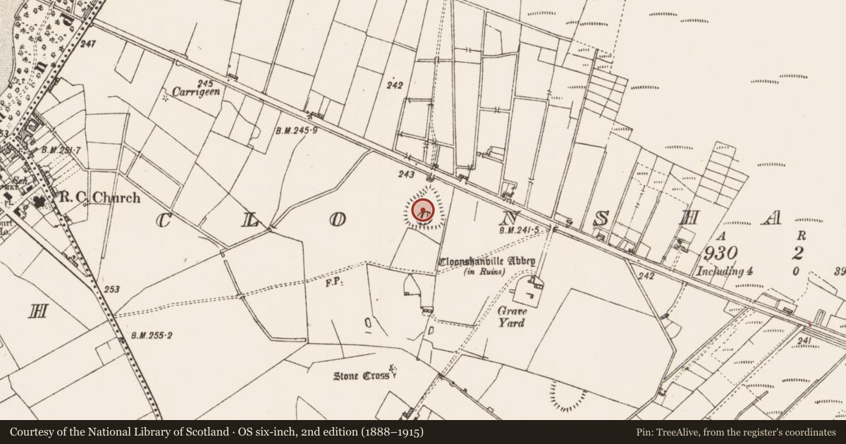 Ordnance Survey six-inch map, 2nd edition (1888–1915) covering the location of Enclosure, Cloonshanville, County Roscommon, with a pin at the register's coordinates