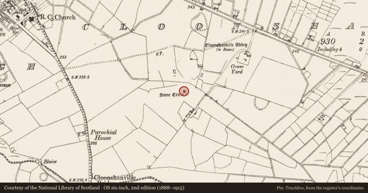 Ordnance Survey six-inch map, 2nd edition (1888–1915) covering the location of Cross - High cross, Cloonshanville, County Roscommon, with a pin at the register's coordinates