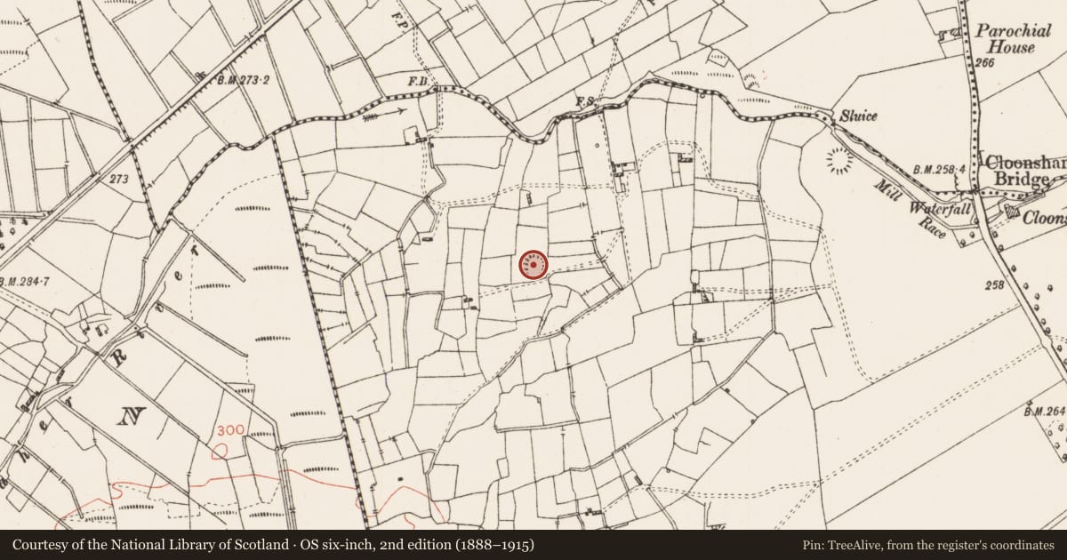 Ordnance Survey six-inch map, 2nd edition (1888–1915) covering the location of Ringfort - rath, Leggatinty, County Roscommon, with a pin at the register's coordinates