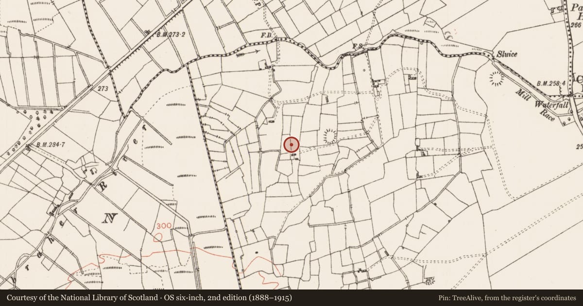 Ordnance Survey six-inch map, 2nd edition (1888–1915) covering the location of Well, Leggatinty, County Roscommon, with a pin at the register's coordinates