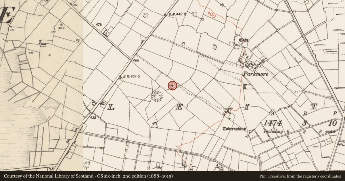 Ordnance Survey six-inch map, 2nd edition (1888–1915) covering the location of Ringfort - rath, Leitrim, County Roscommon, with a pin at the register's coordinates