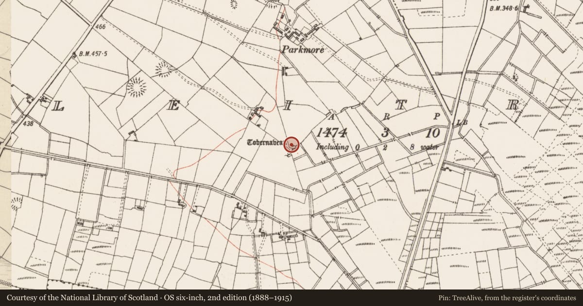 Ordnance Survey six-inch map, 2nd edition (1888–1915) covering the location of Well, Leitrim, County Roscommon, with a pin at the register's coordinates