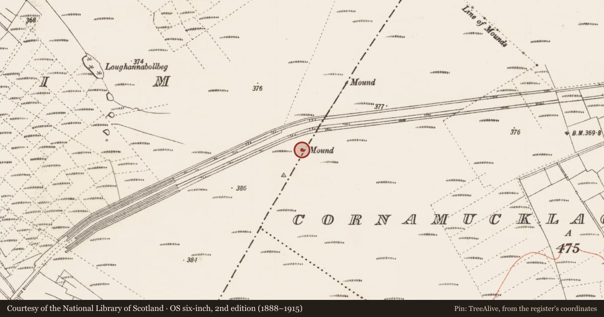 Ordnance Survey six-inch map, 2nd edition (1888–1915) covering the location of Boundary mound, Cornamucklagh And Falmore, Leitrim, County Roscommon, with a pin at the register's coordinates