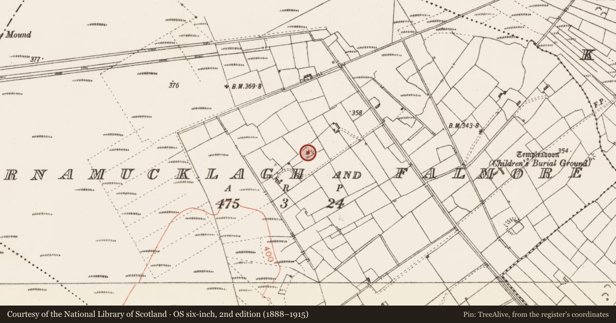 Ordnance Survey six-inch map, 2nd edition (1888–1915) covering the location of Hut site, Cornamucklagh And Falmore, County Roscommon, with a pin at the register's coordinates