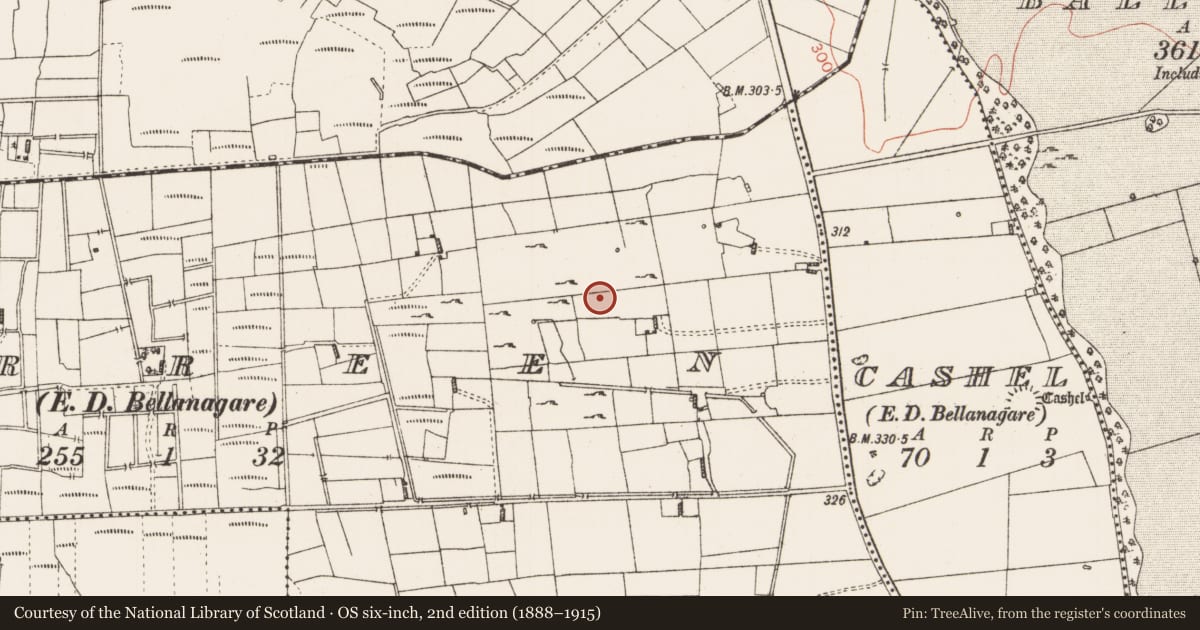 Ordnance Survey six-inch map, 2nd edition (1888–1915) covering the location of Ringfort - rath, Derreen, County Roscommon, with a pin at the register's coordinates