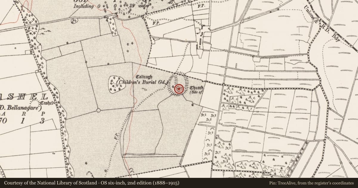 Ordnance Survey six-inch map, 2nd edition (1888–1915) covering the location of Church, Ballaghcullia, County Roscommon, with a pin at the register's coordinates