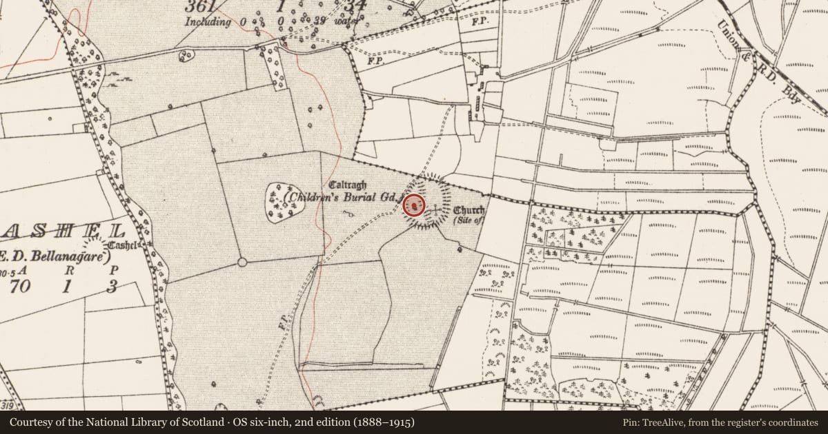 Ordnance Survey six-inch map, 2nd edition (1888–1915) covering the location of Children's burial ground, Ballaghcullia, County Roscommon, with a pin at the register's coordinates