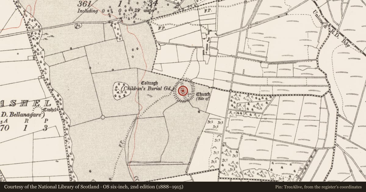 Ordnance Survey six-inch map, 2nd edition (1888–1915) covering the location of Ecclesiastical enclosure, Ballaghcullia, Ballynahowna, County Roscommon, with a pin at the register's coordinates
